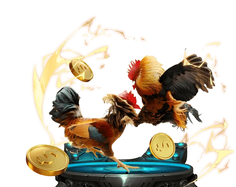 Quy trình đăng ký tài khoản 01win55